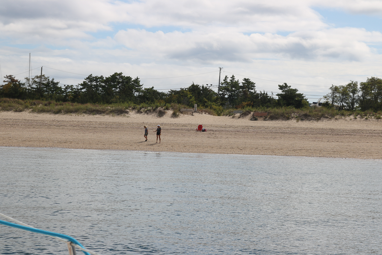 Gret on the beach talking to some woman  ~~  COVID Edition