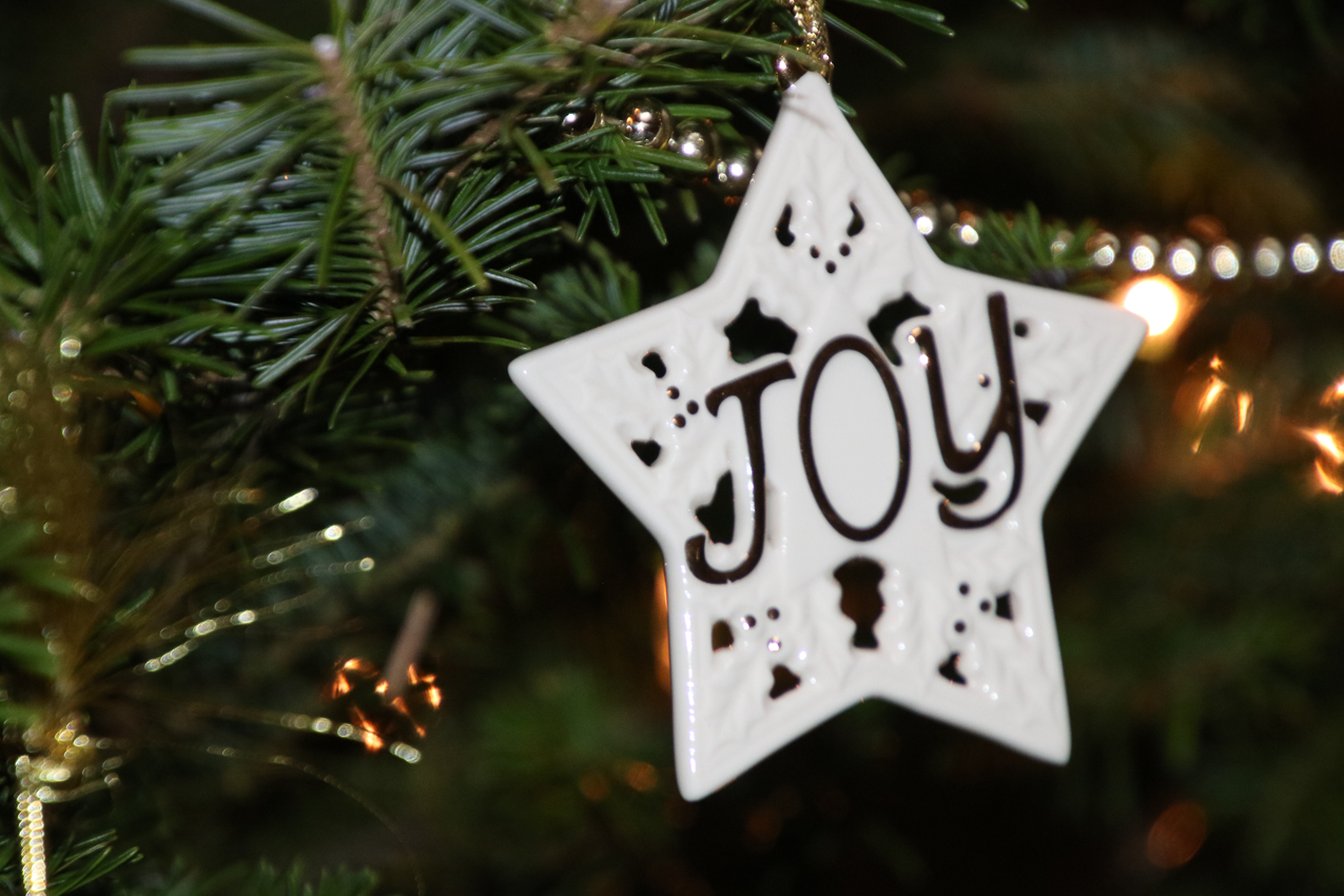 A COVID Christmas at the Lynch Shack  ~~  