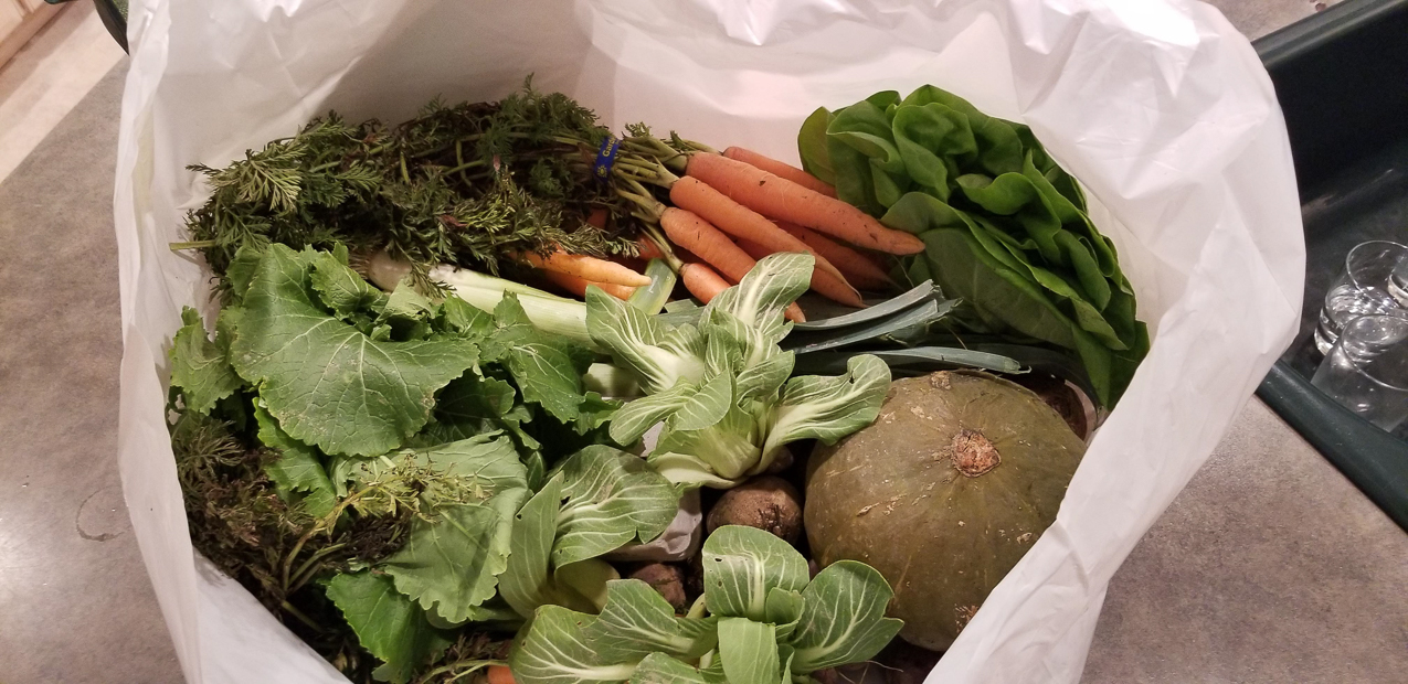 Typical Winter Share Pickup  ~~  