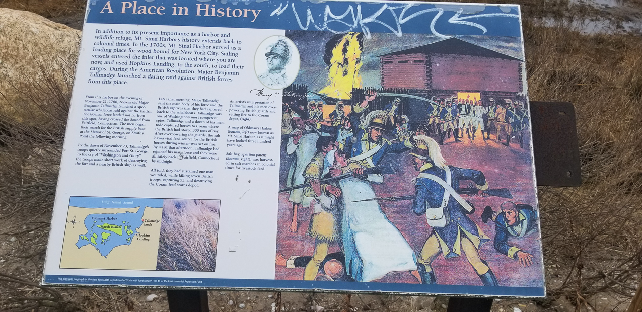 The Turn in our backyard/harbor  ~~  