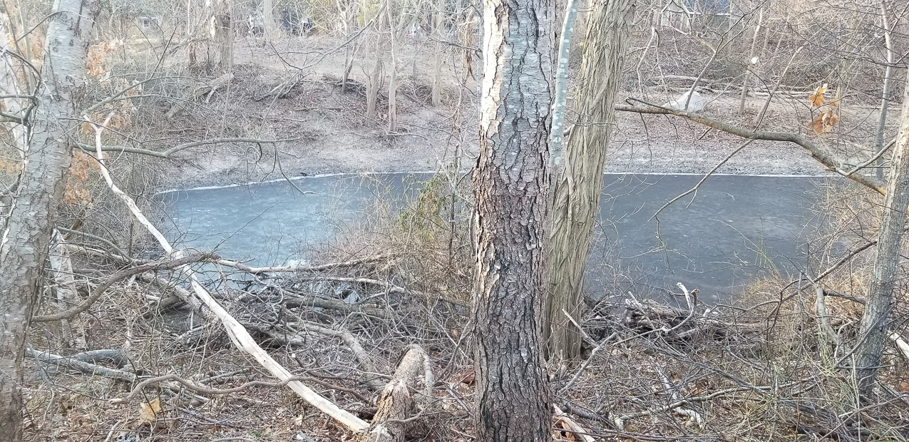 The Sump got a little facelift and some repairs are in the works.  ~~  