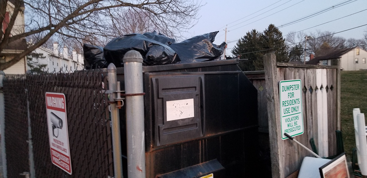   ~~  Turdy moving out of NJ Trip