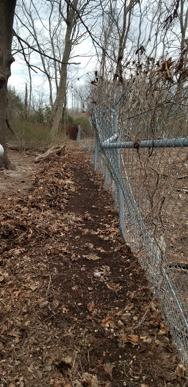   ~~  Lynch Shack back fnece by the sump Brookhaven Town is coming out to fix after 15 years.