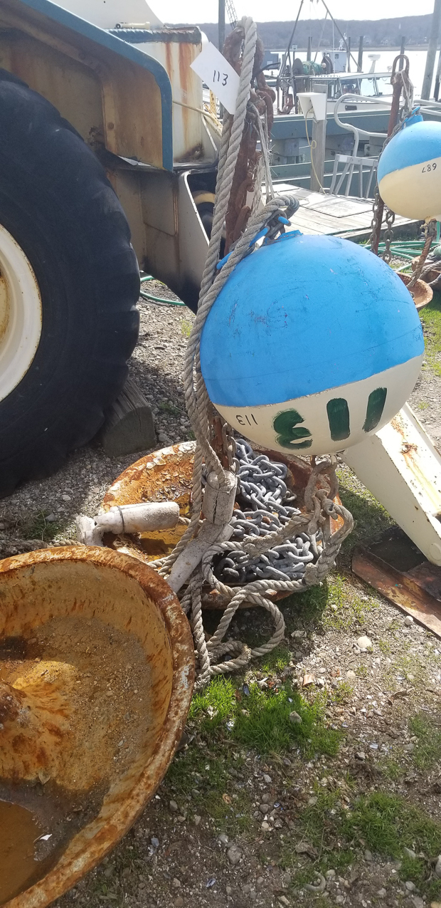 Mooring 113 with about a grand of services and silver titanium chain???   ~~  