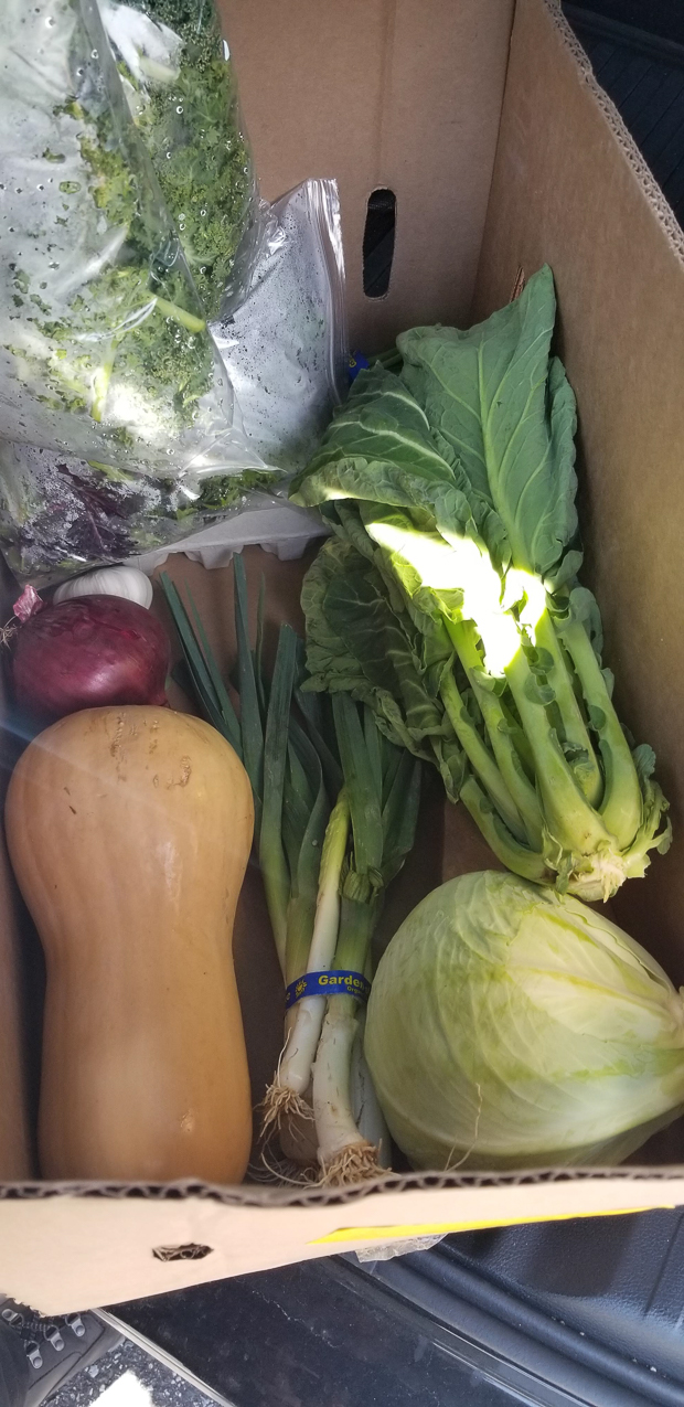 The Garden of Eden Share  ~~  