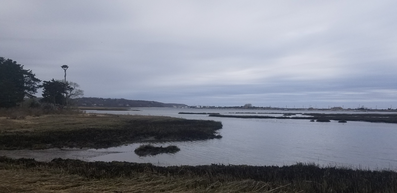 Mt Sinai By Bike ride  ~~  Covid ride