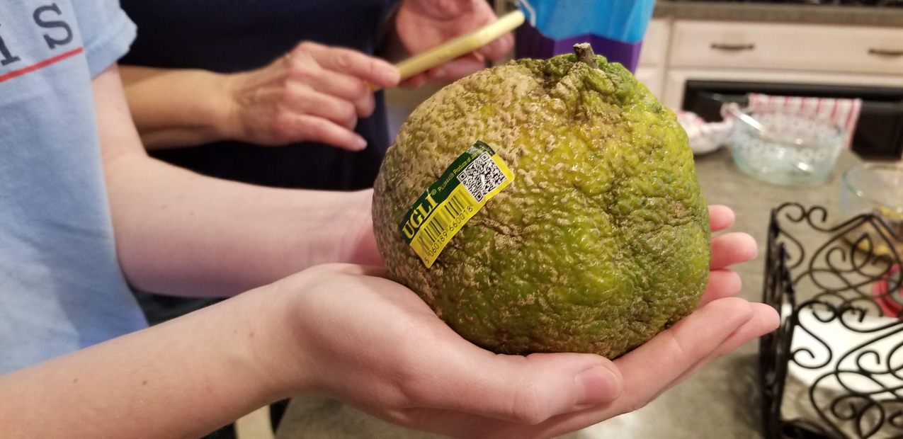 Mary at 19 during COVID-19  ~~  