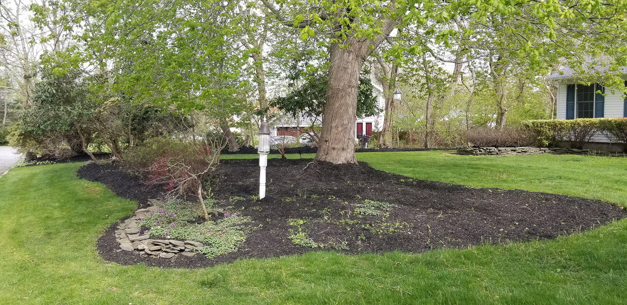 Mulch Project  ~~  nearing the end.......