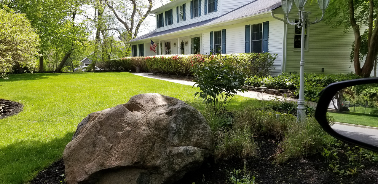 The lynch Shack Spring 2020 COVID  ~~  