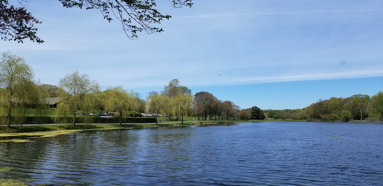 Spring Lake 9 holes with Gret  ~~  COVID Rules