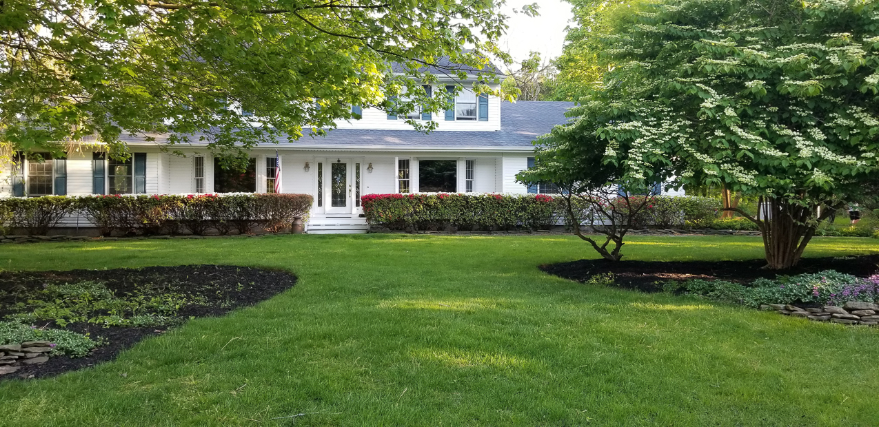 The lynch Shack Spring 2020 COVID  ~~  