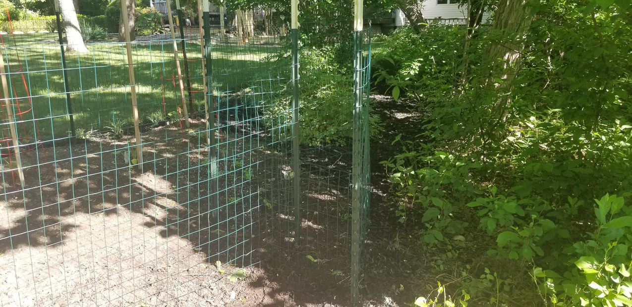 Little garden in the back - with a C (cattle) gate to keep out the deer.  ~~  
