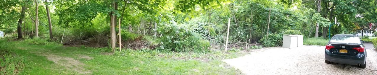 The 70 acre side of the Lynch Shack  ~~  