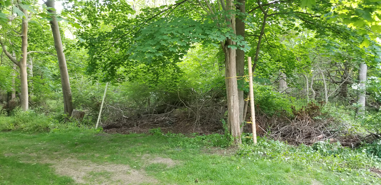 Everybody is out of fence poles.....used 2x4s for the moment  ~~  