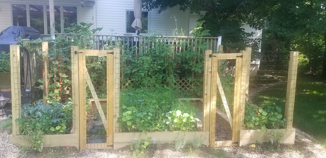 Home Hot and Steamy after long trip  ~~  the garden!!!!