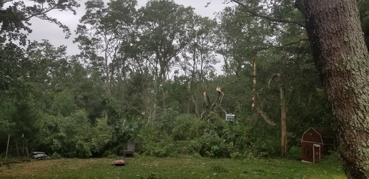 Trop Storm Isaias  ~~  a bit of damage, days of no power and no internet and no cell service.