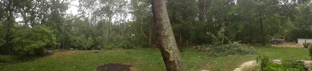 Trop Storm Isaias  ~~  a bit of damage, days of no power and no internet and no cell service.