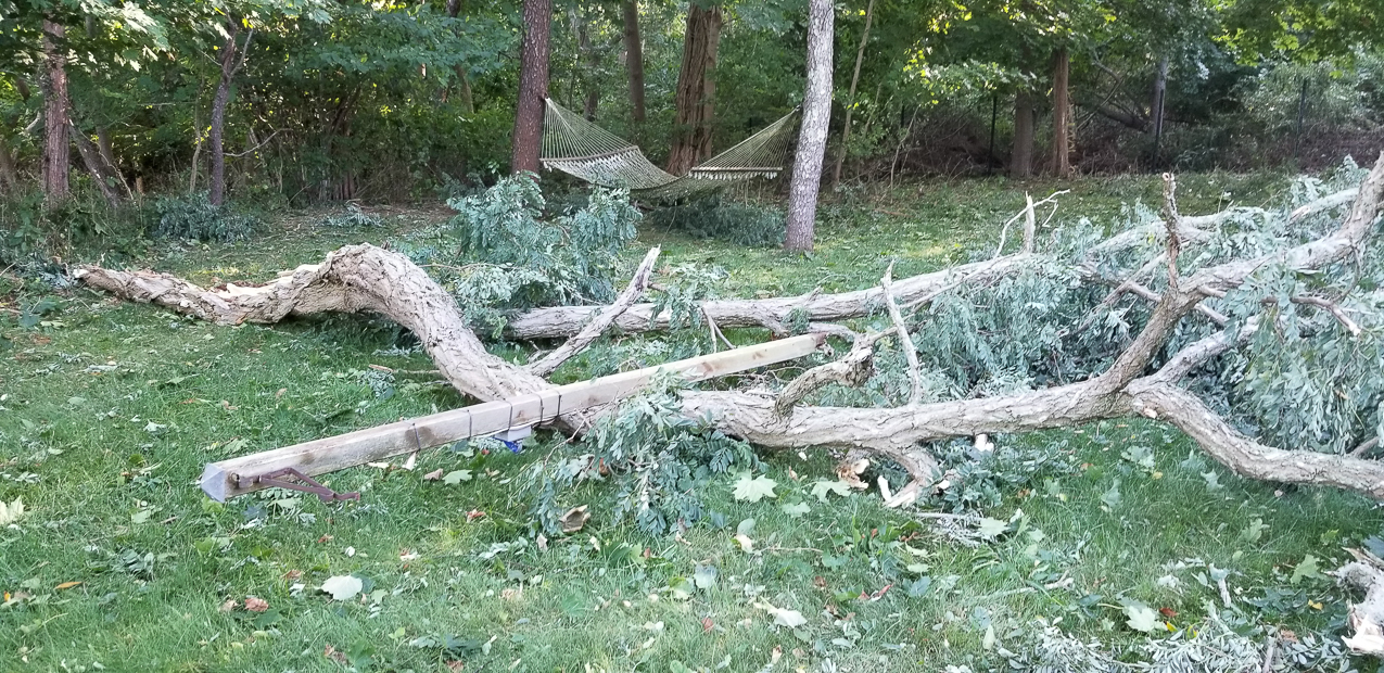 Trop Storm Isaias  ~~  a bit of damage, days of no power and no internet and no cell service.