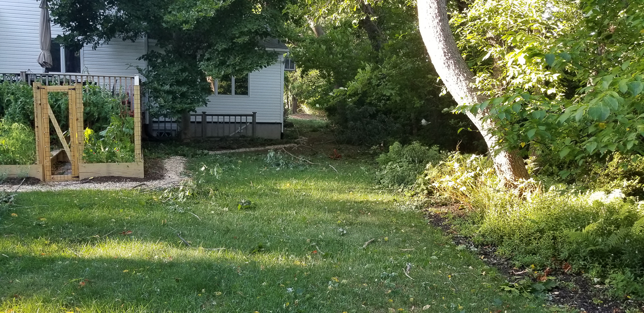 Trop Storm Isaias  ~~  a bit of damage, days of no power and no internet and no cell service.