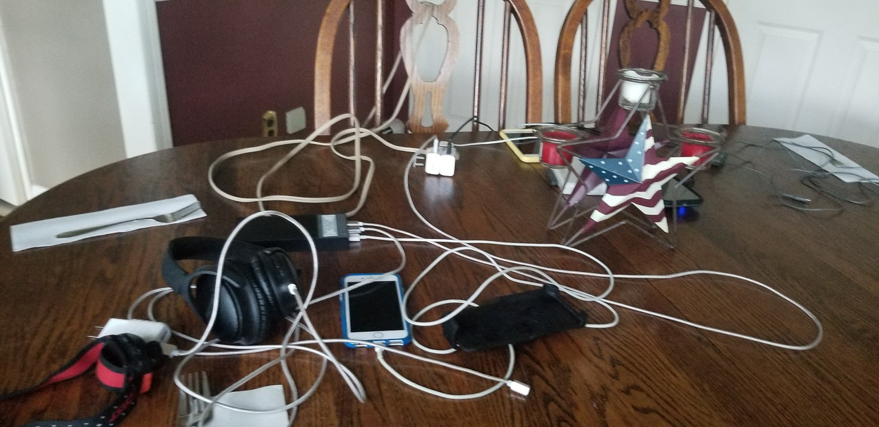 Trop Storm Isaias  ~~  a bit of damage, days of no power and no internet and no cell service.