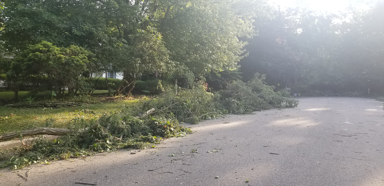 Trop Storm Isaias  ~~  a bit of damage, days of no power and no internet and no cell service.