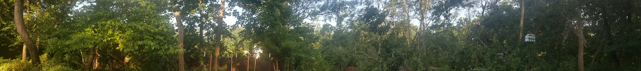 Trop Storm Isaias  ~~  a bit of damage, days of no power and no internet and no cell service.