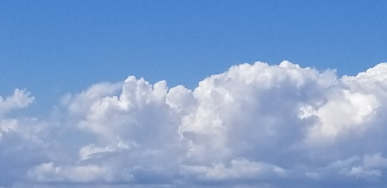 A day at the 2020 MSSA Flax Pond Event   ~~  