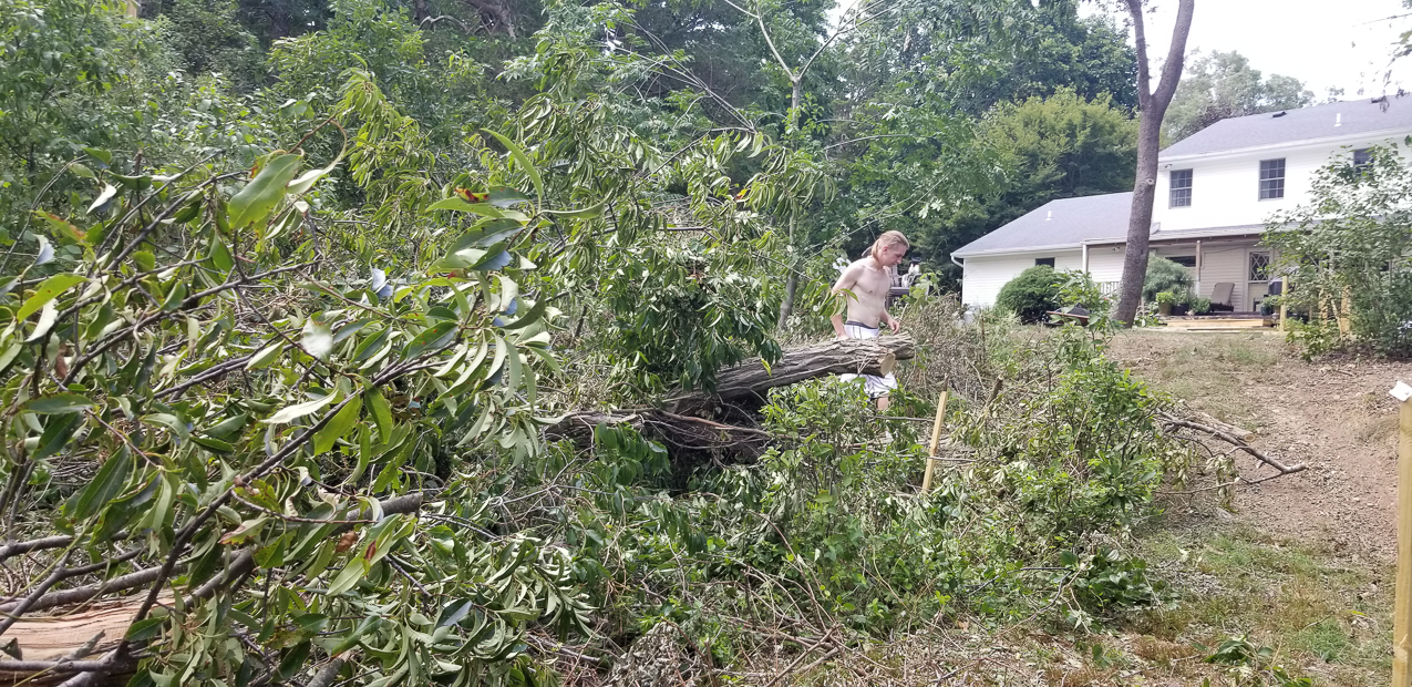 Trop Storm ISASIOAH Clean up.  ~~  