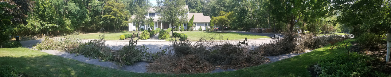 Hurricane Isaias debris at the Lynch Shack  ~~  just part of the damage.