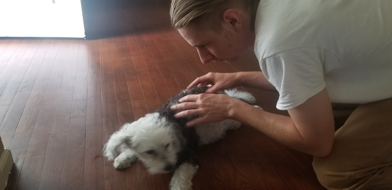 Kiki (the Keeks) RIP August 13 2020  ~~  The queen of the Lynch Kingdom from 2004 to 2020