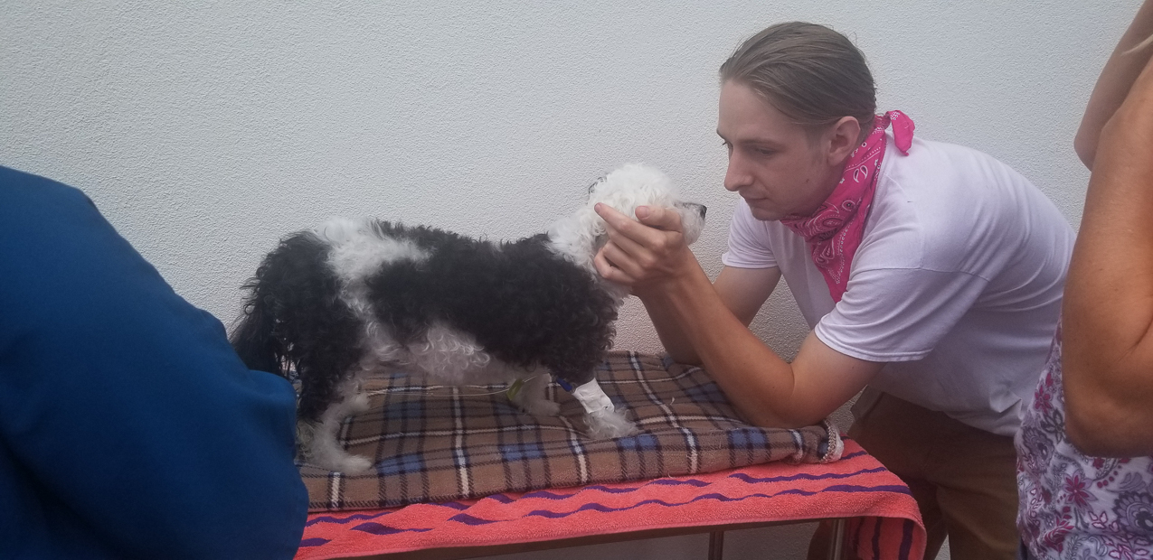 Kiki (the Keeks) RIP August 13 2020  ~~  The queen of the Lynch Kingdom from 2004 to 2020