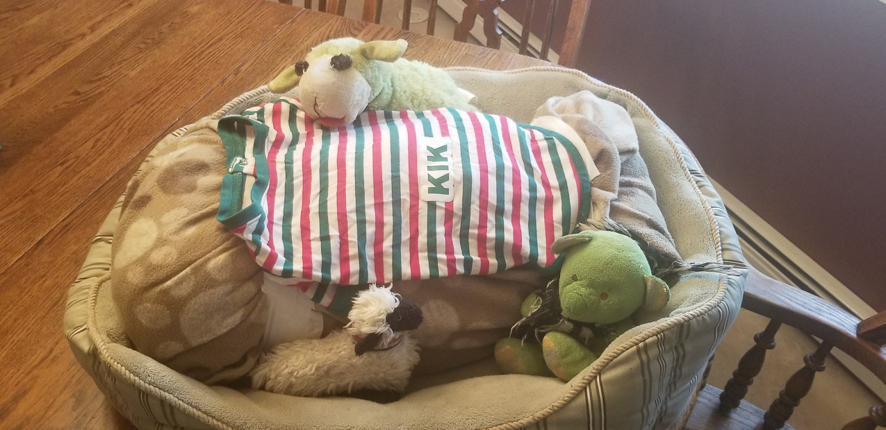 Kiki (the Keeks) RIP August 13 2020  ~~  The queen of the Lynch Kingdom from 2004 to 2020