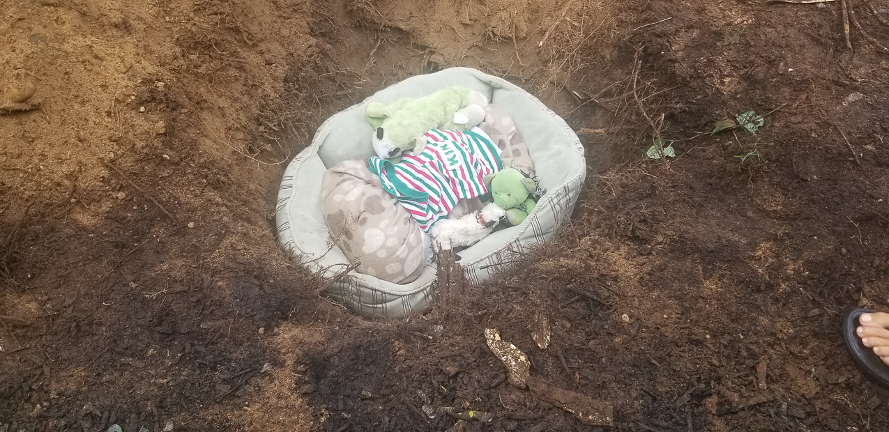 Kiki (the Keeks) RIP August 13 2020  ~~  The queen of the Lynch Kingdom from 2004 to 2020