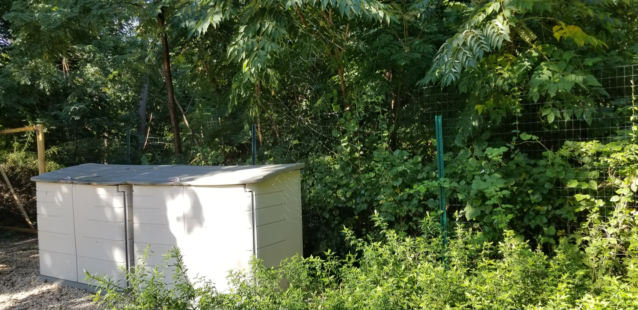 Spider web on the driveway  ~~  