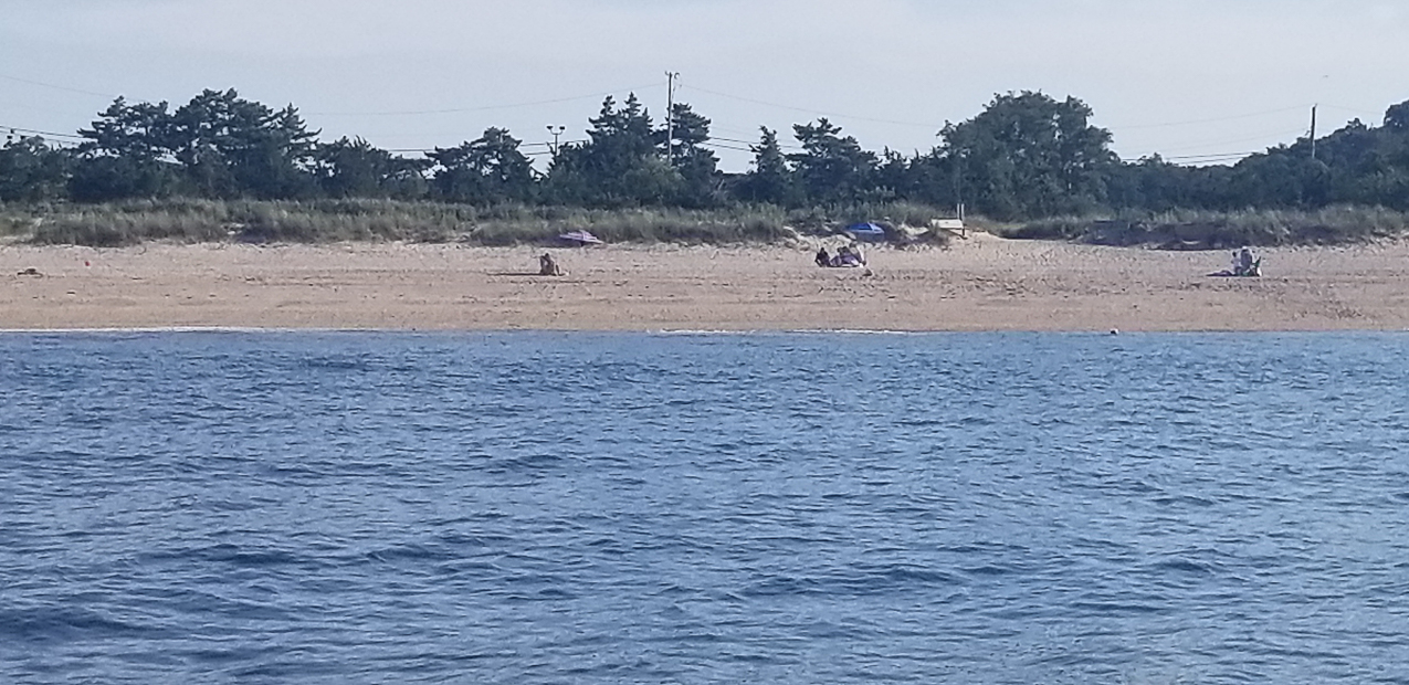 Pre LAbor Day out on the Sound and Cedar Beach with Gret  ~~  Cycled, kayak'd, sailed, fished, swam into beach, swam out and did it in reverse.