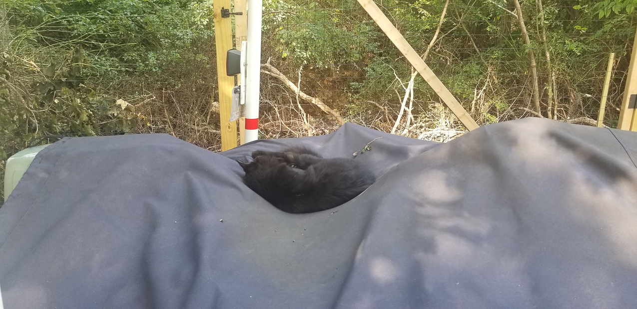 A Bike Ride to the Harbor and Cedar Beach  ~~  