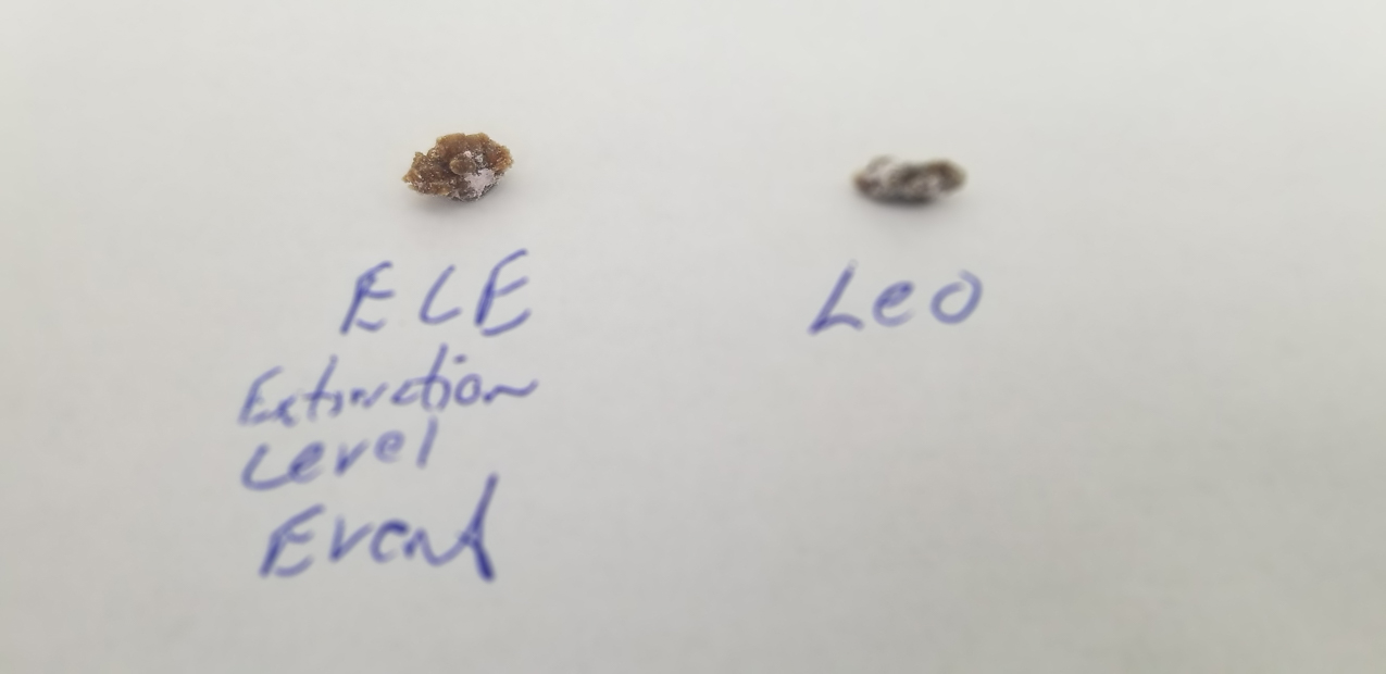 Deep Impact: ELE  and Leo my two asteroid kidney stones  ~~  ELE - Extingtion Level Event and Leo is the Astronomer in the movie  Kidney Stones
