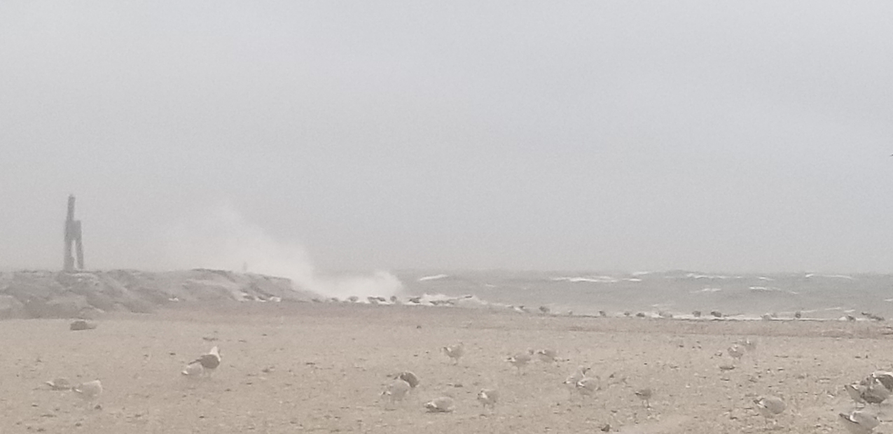 Hurricane Zeta Oct 2020  ~~  