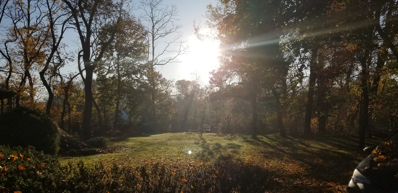 Nov 10 2020 bike ride  ~~  