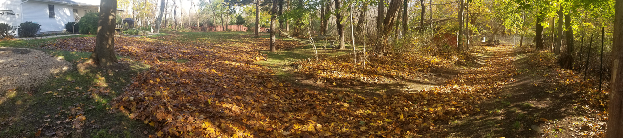 Bike Ride November to the Harbor  ~~  