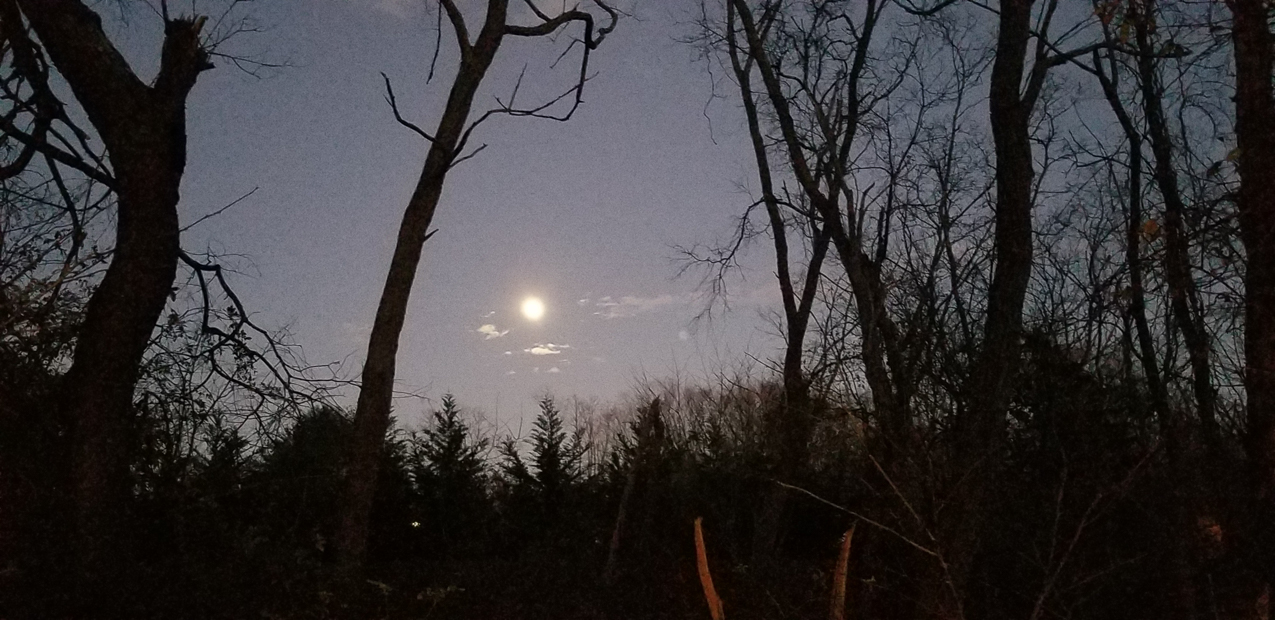 Spooky Full moon  ~~  