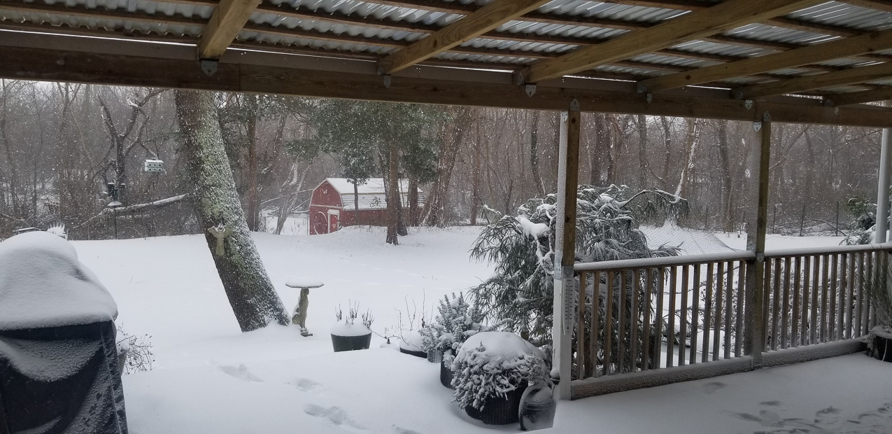 December 16 to 17 Snowstorm - First  ~~  