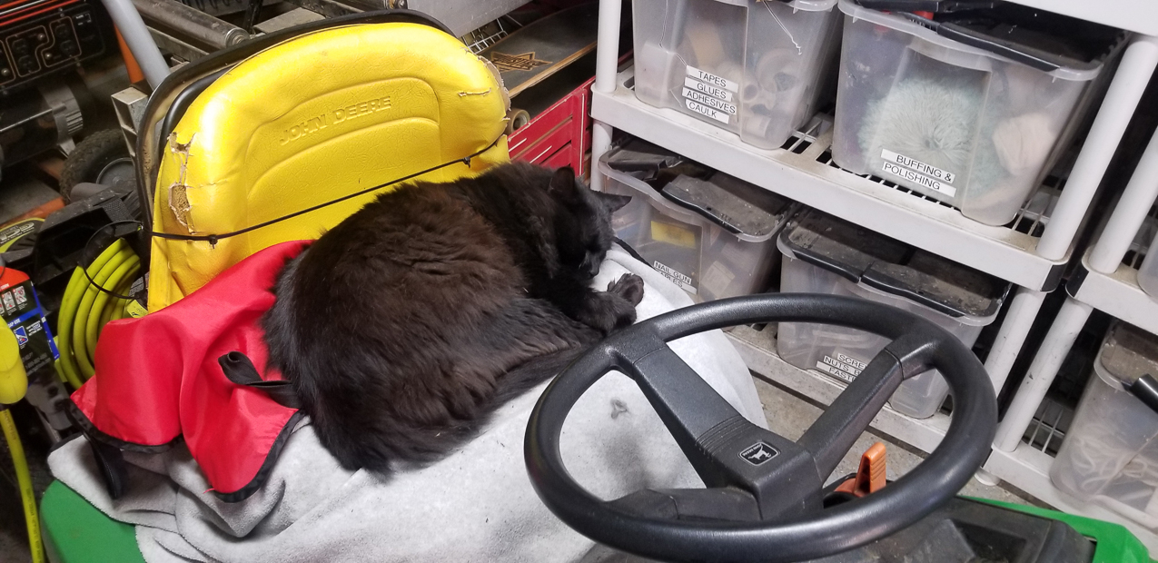 in Johnny's house with Rover  ~~  