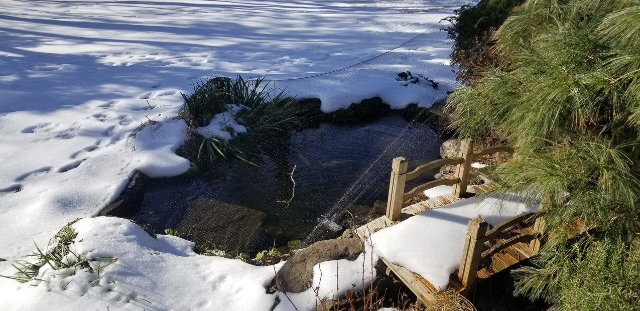 de FEEESH are on the shutdown for 6 months  ~~  