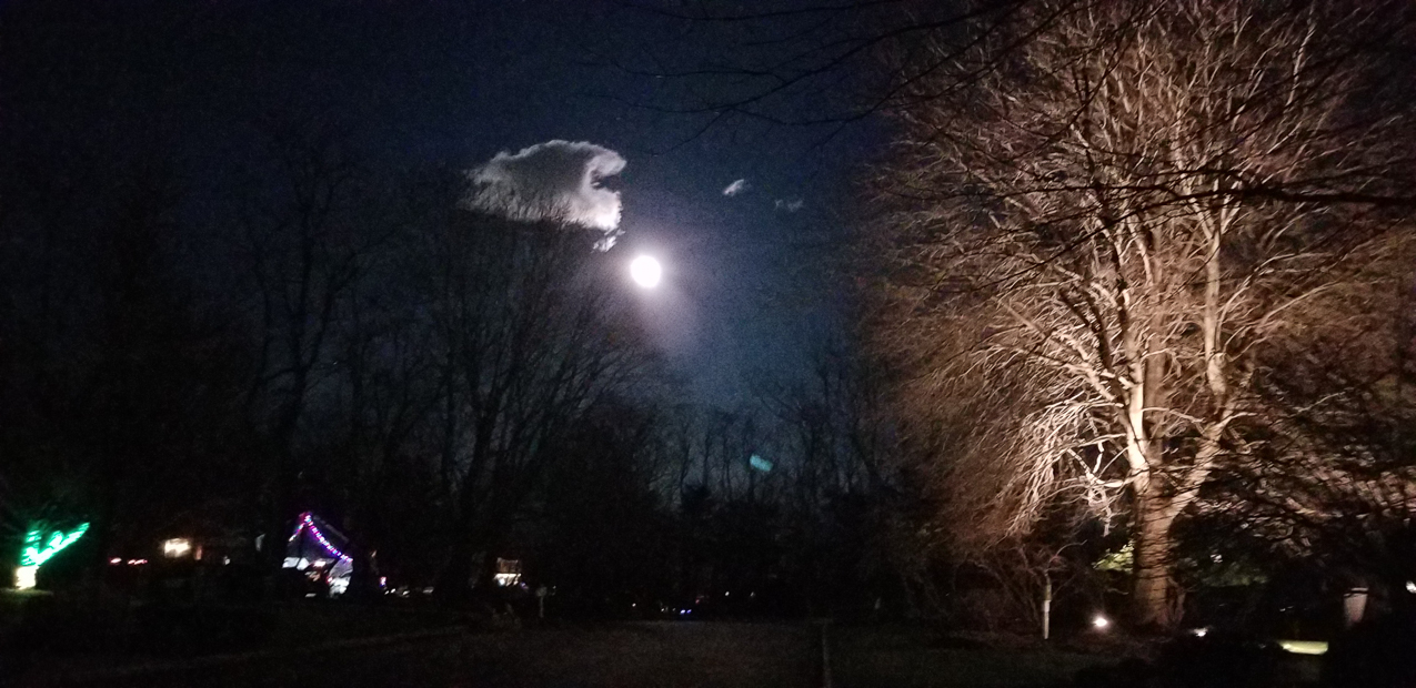 Night Sky at the Lynch Shack  ~~  