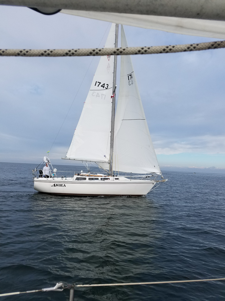 Akula at the ACS taken by John JDAD  ~~  