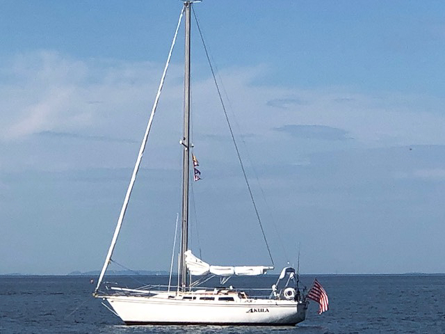 Pre LAbor Day out on the Sound and Cedar Beach with Gret  ~~  Cycled, kayak'd, sailed, fished, swam into beach, swam out and did it in reverse.