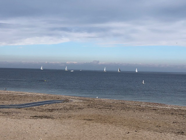 MSSA 39th Annual ACS Regatta  ~~  