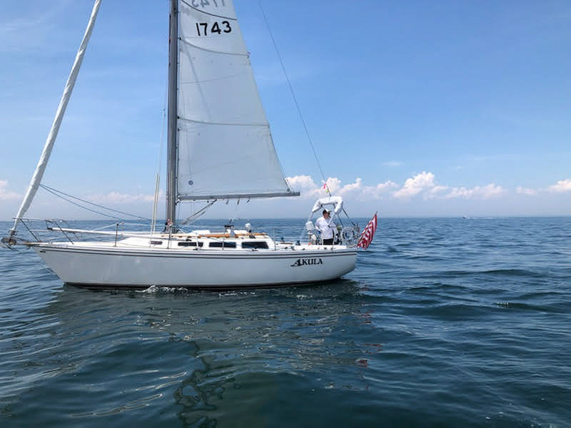 Akula Harbor Cup 2020 Abandoned  ~~  