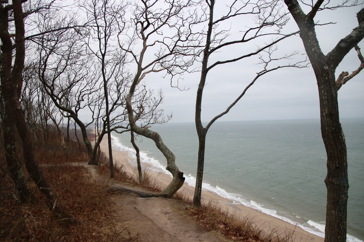 A hike to the beach Jan 3 2021  ~~  A new Folder!!!